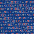 Moda - America the Beautiful-Words American Type/Lake Blue - 19983 14