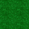 QT Fabrics Matilija Poppy Green Fabric – Green Dotted Blender by Desiree’s Designs