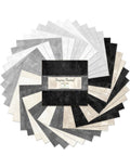 Wilmington - Dry Brush-Tonal Blender/Staying Neutral-5" Karat Gems - 507-48-507