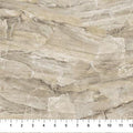 Northcott - Stonehenge/Surfaces/Brown - 108" Wide Quilt Backing - B25049-34