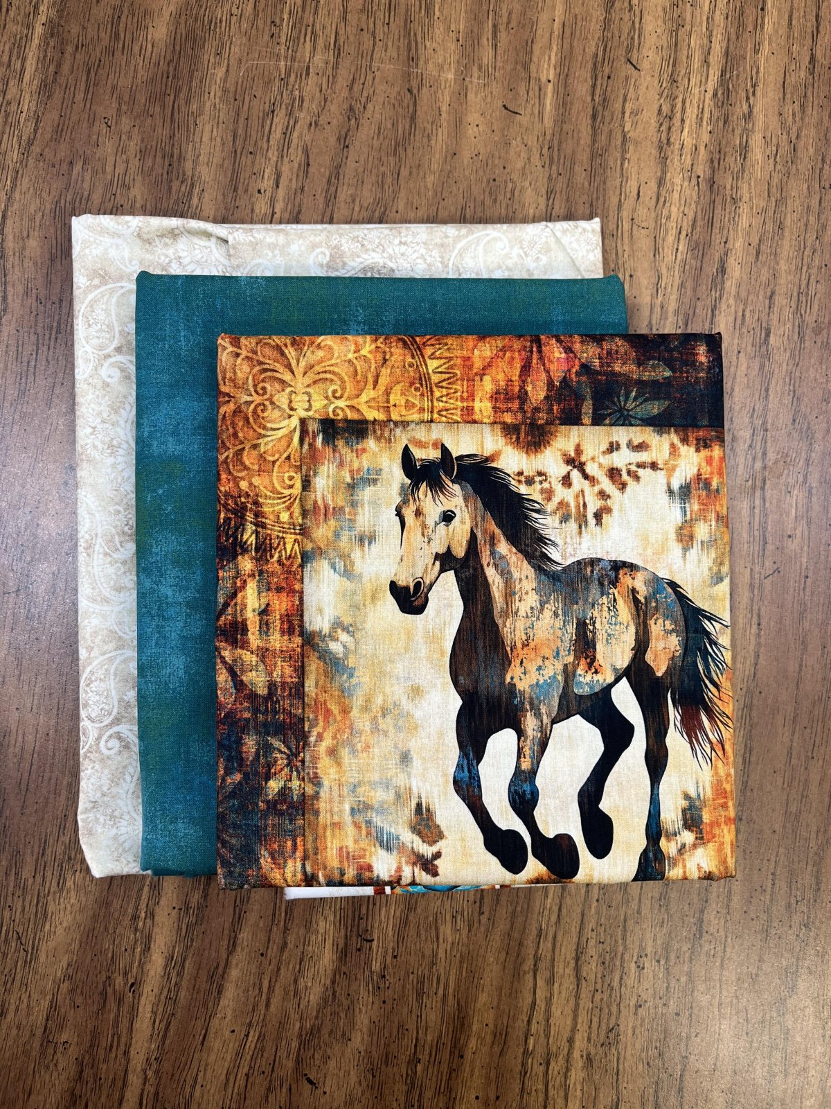 QT Fabrics Born To Run Quilt Kit – Panel Perfect 3-Yard Quilts by Fabric Café