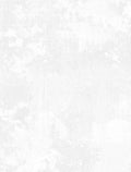 Wilmington Prints - Essential 108 Dry Brush - White on White - 108" Wide Quilt Backing Fabric – Blender by Danhui Nai