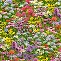 Elizabeth's Studio - Bees & Flowers-Multi Wildflowers/Bees - Floral Novelty Print