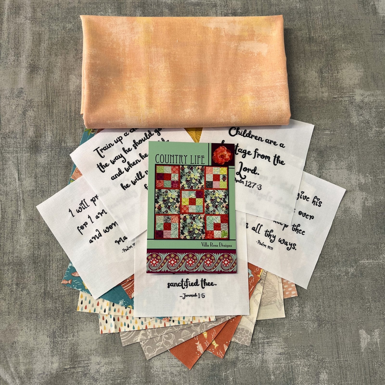 Little Blessings Baby Quilt Kit – Christian Baby Quilt – Country Life Villa Rosa Pattern – Noah’s Ark Charm Pack Quilt – 48" x 48"