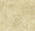 Northcott Stonehenge Basics Beige Fabric – Tonal Texture Print by Linda Ludovico