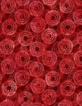 Wilmington Circle Burst Red Wide Quilt Backing Fabric 108" – Red Geometric Print