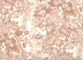 MDG - Wide Quilt Backing-108in - Faded Floral/Camel